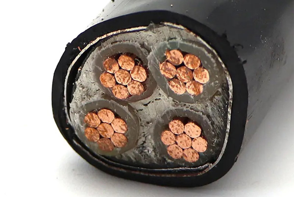 62f4bf0cb1fd8.jpg 01.jpg